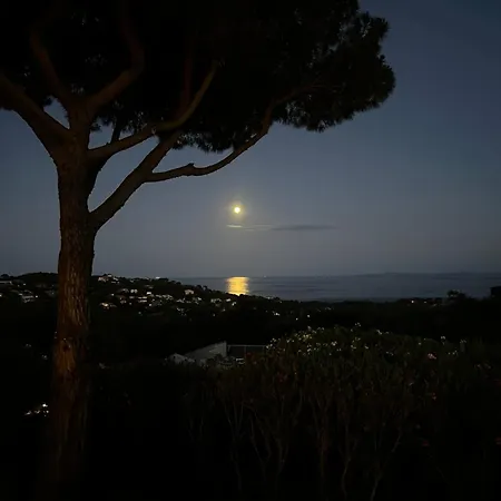 Les Mini-villas De Santa Giulia *