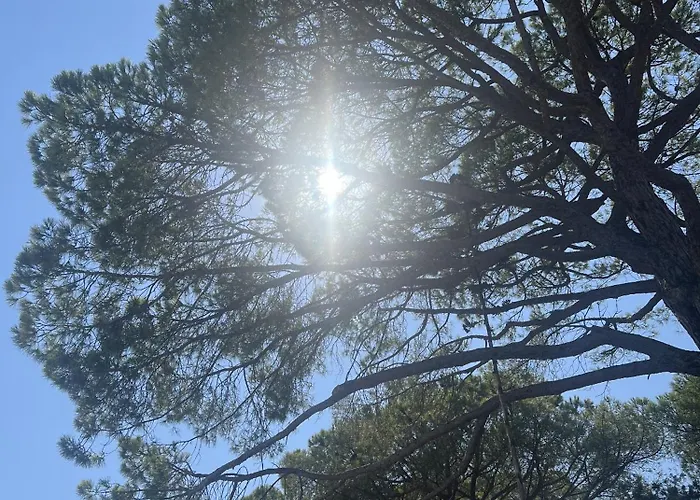 Les Mini-villas De Santa Giulia *